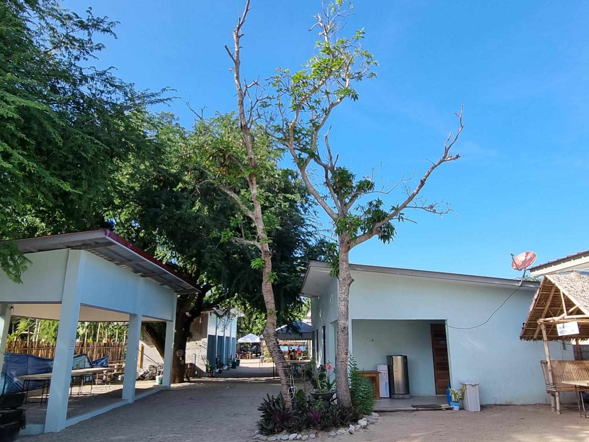 Yemaya De Laiya Powered By Cocotel Dış mekan fotoğraf